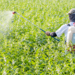 Defensivos agrícolas: João Eustáquio De Almeida Junior explica os cuidados essenciais para garantir o uso responsável no campo e a segurança da produção.