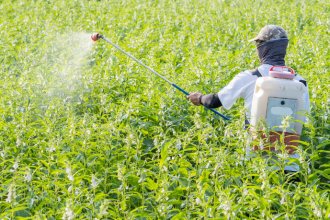 Defensivos agrícolas: João Eustáquio De Almeida Junior explica os cuidados essenciais para garantir o uso responsável no campo e a segurança da produção.