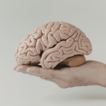 Como memória, foco e tecnologia fortalecem a saúde neurológica, segundo Luciano Colicchio Fernandes, em práticas e hábitos diários.