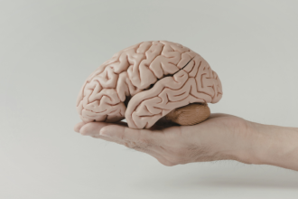 Como memória, foco e tecnologia fortalecem a saúde neurológica, segundo Luciano Colicchio Fernandes, em práticas e hábitos diários.