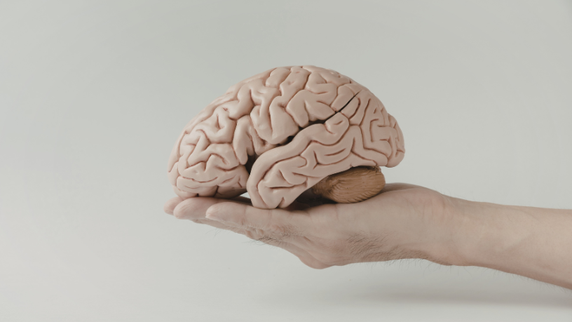 Como memória, foco e tecnologia fortalecem a saúde neurológica, segundo Luciano Colicchio Fernandes, em práticas e hábitos diários.