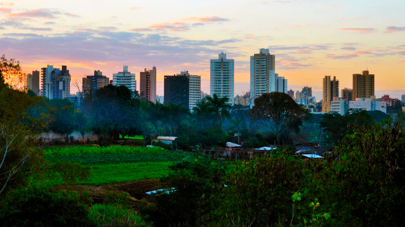 Guilherme Silva Ribeiro Campos