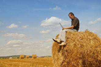 Guilherme Silva Ribeiro Campos