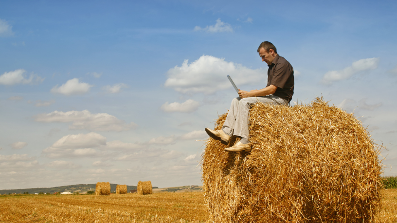 Guilherme Silva Ribeiro Campos